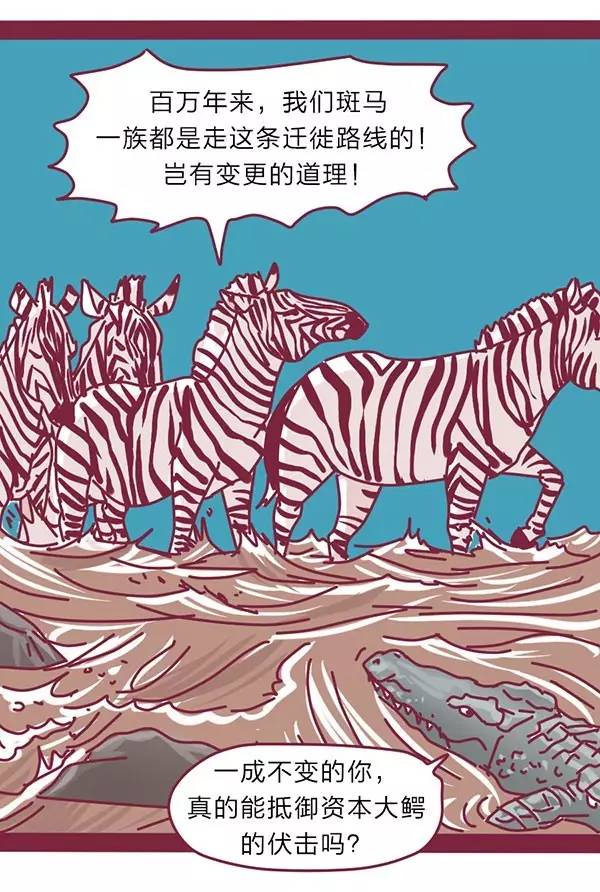 和动物有关的财经黑话